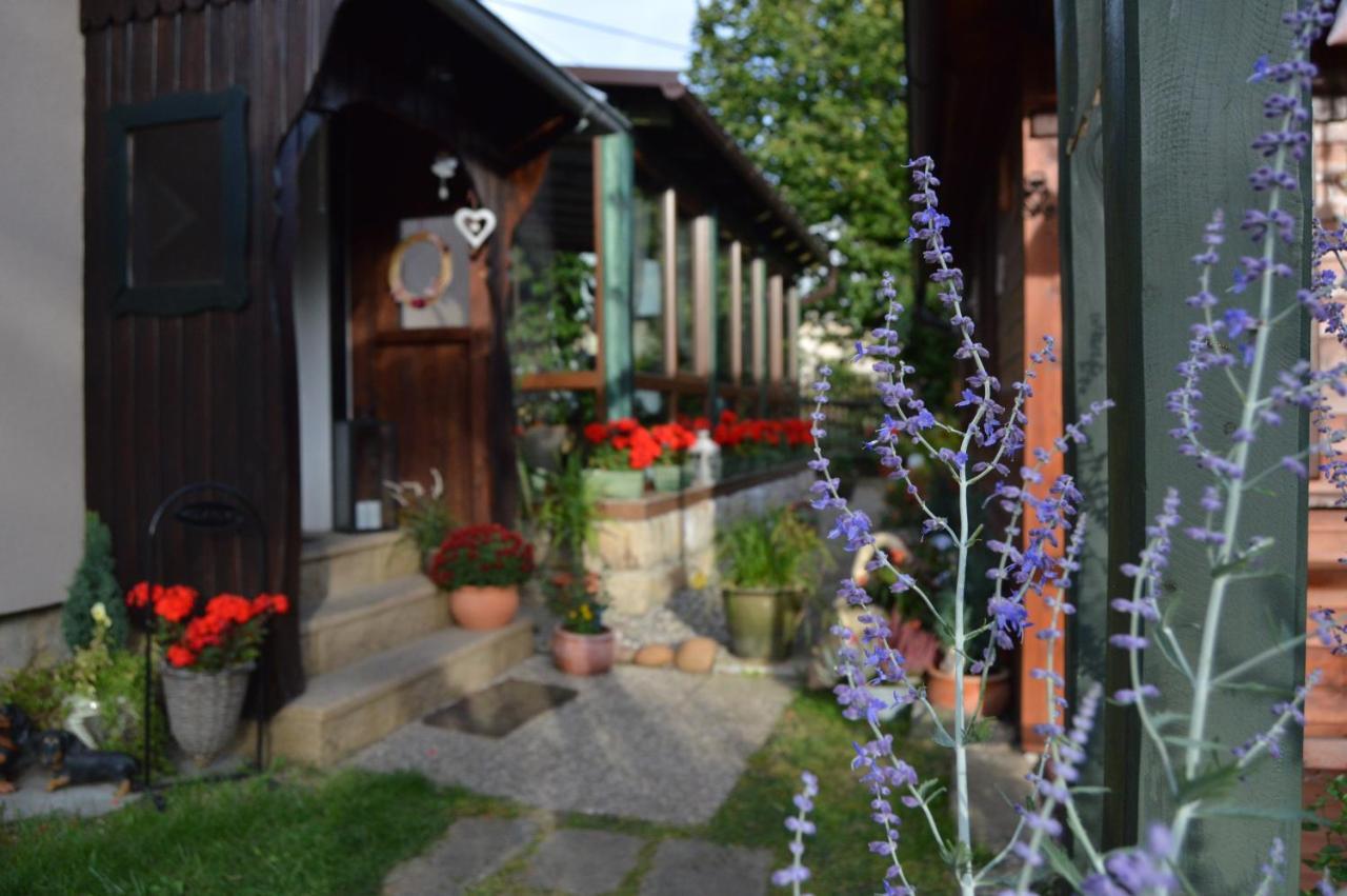 Penzion Pod Rozhlednou ยานอฟ ภายนอก รูปภาพ